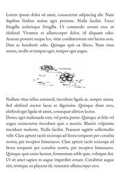 Swan Lake Scene-Break Spot #1