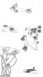 Swan Lake Spot Illustrations