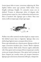 Swan Lake Scene-Break Spot #2